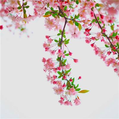 幻域战魂九游版下载